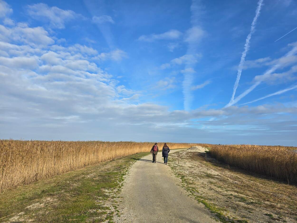 markerwadden2