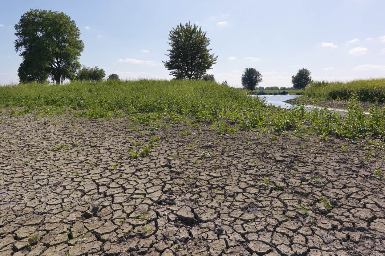 Droge, gebarsten grond bij nevengeul