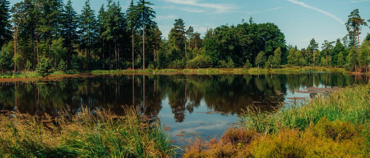 Vitens infiltratievijver bij Epe