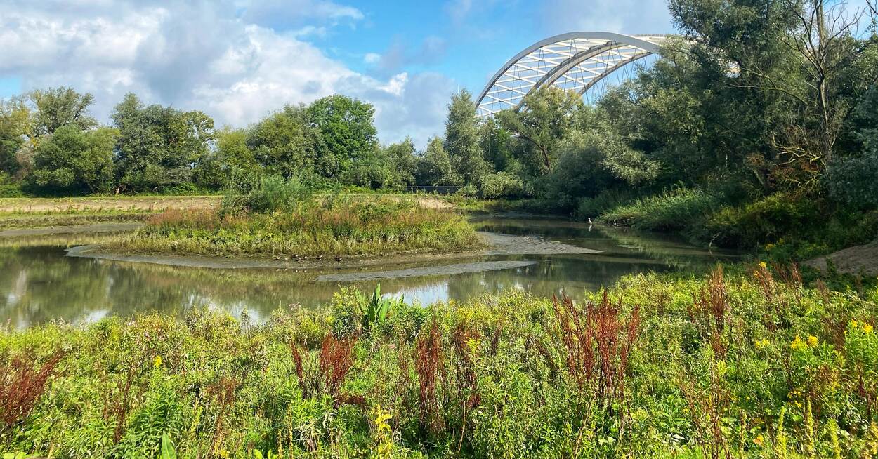 Eiland van Brienenoord