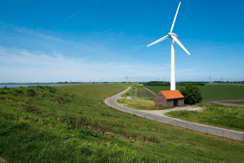 De ruim vijf kilometer lange dijk bij het Zeeuwse dorp Hansweert. Op de foto staat een groene dijk, met daarachter een huisje en een moderne windmolen.