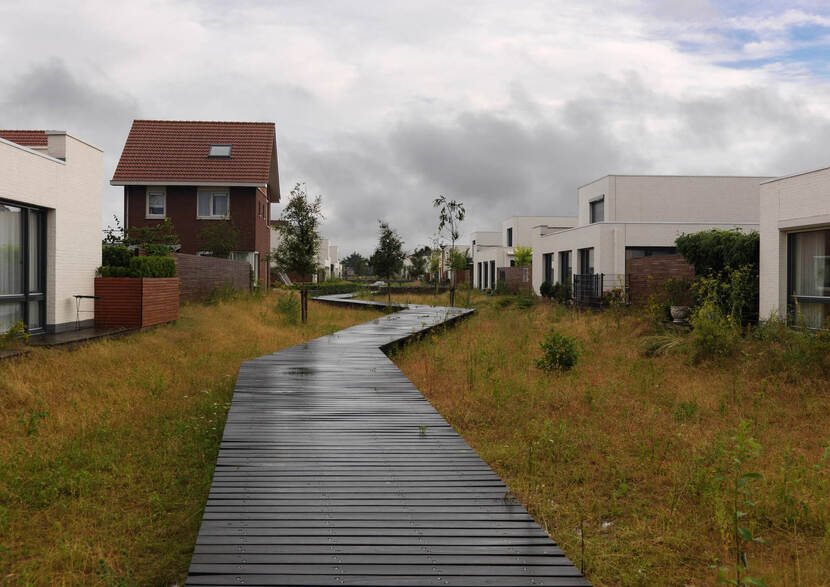 Een zigzaggend wandelpad van hout loopt door een woonwijk. Aan beide kanten vegetatie en woningen.
