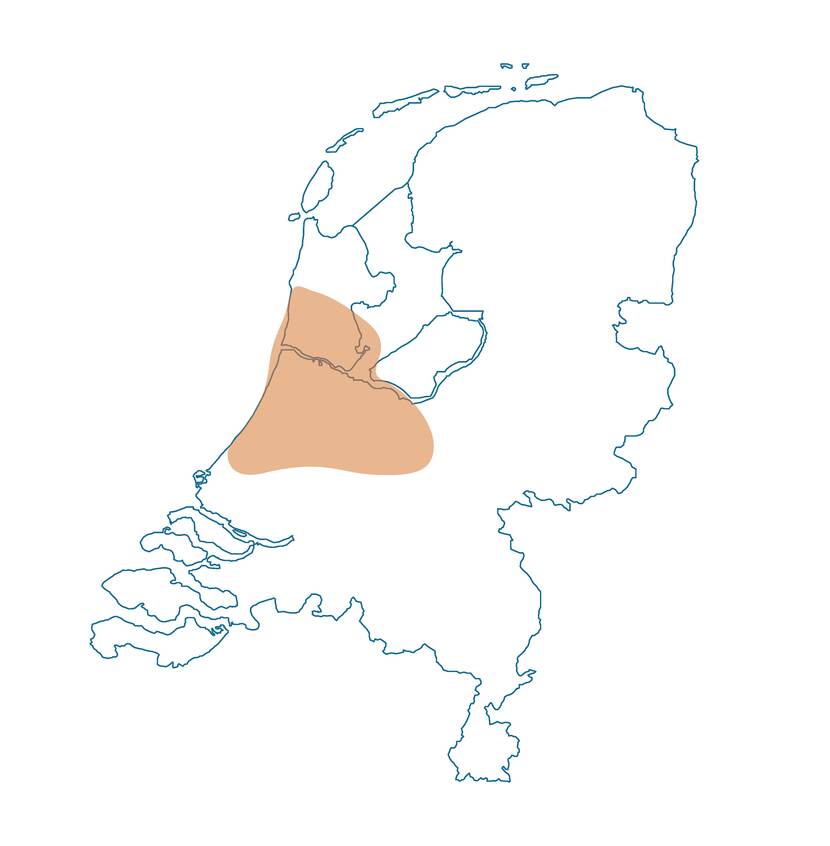 Regio Centraal Holland