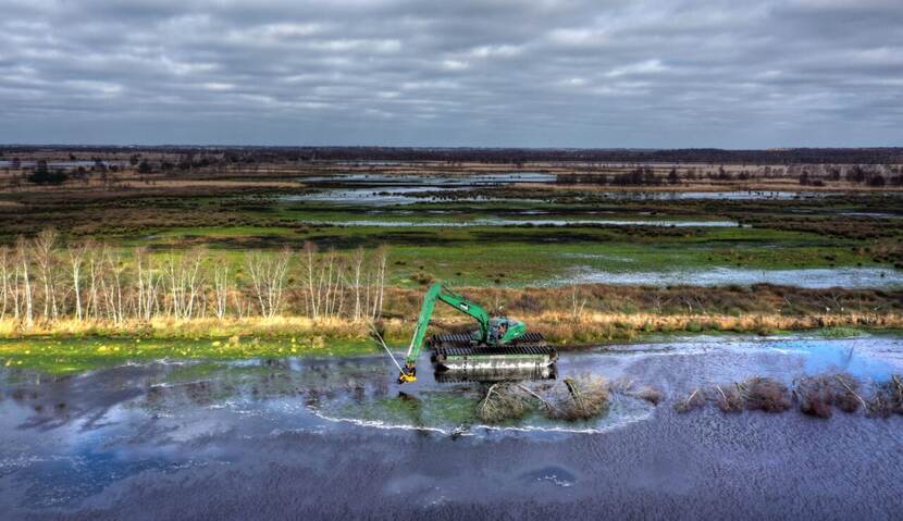 Foto van het centrale deel van het Bargerveen.