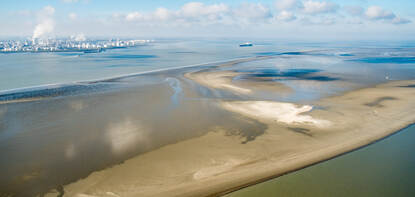 Een zandplaat in de Westerschelde. Op de achtergrond is een groot industriegebied zichtbaar