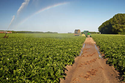 Foto van landbouw in Zeeland. Een agrariër besproeit zijn land.