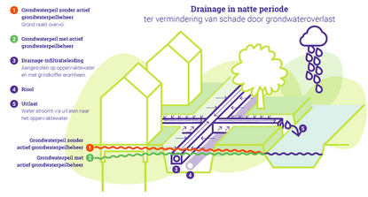 Visuel voorbeeld van drainage in natte periode - Infographic actief grondwaterpeilbeheer