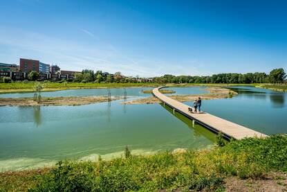 Waterberging in het Molenvlietpark aan de rand van Den Haag