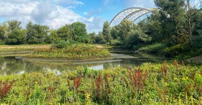 Eiland van Brienenoord